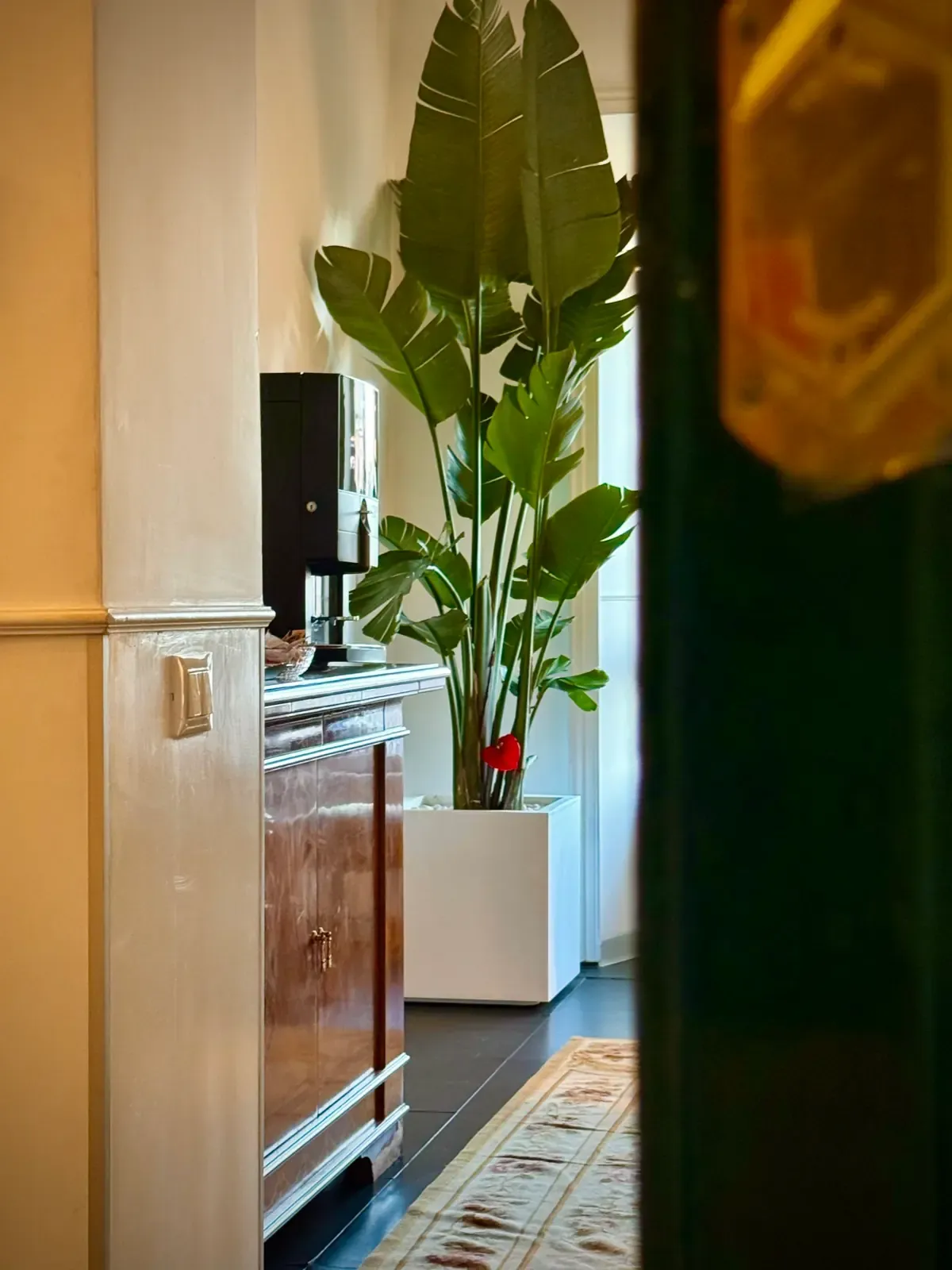 Angolo del lounge con strelitzia e macchina del caffè, Imperial Suite Rome